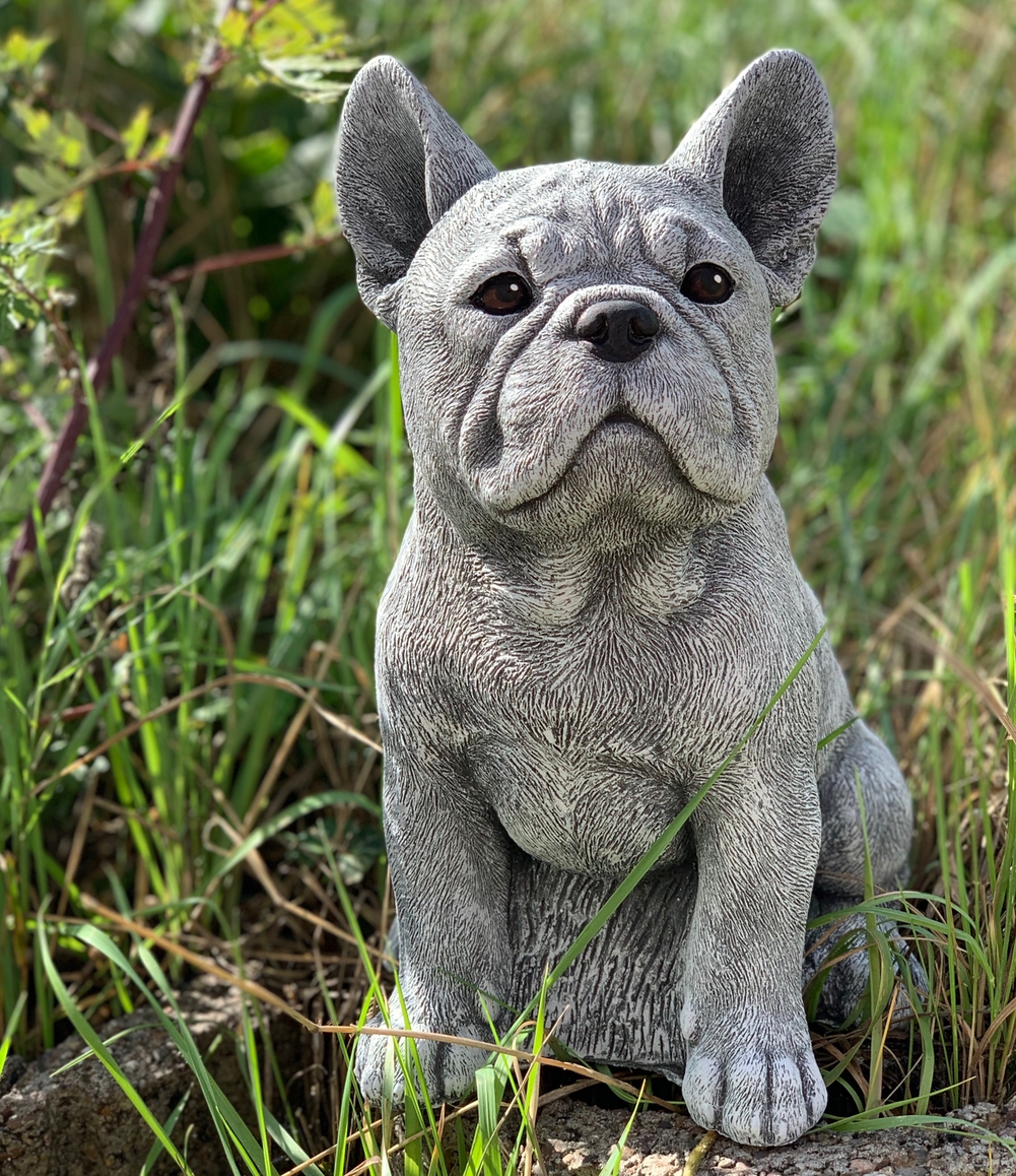 Steinfigur Frenchie Französische Bulldogge frostfest Gartenfigur