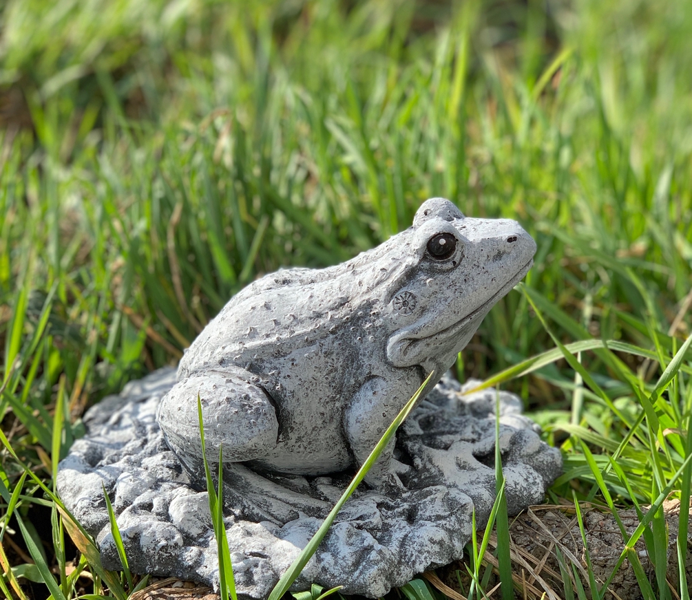 Steinfigur Frosch mittel Frösche frostfest wetterfest Gartenfigur
