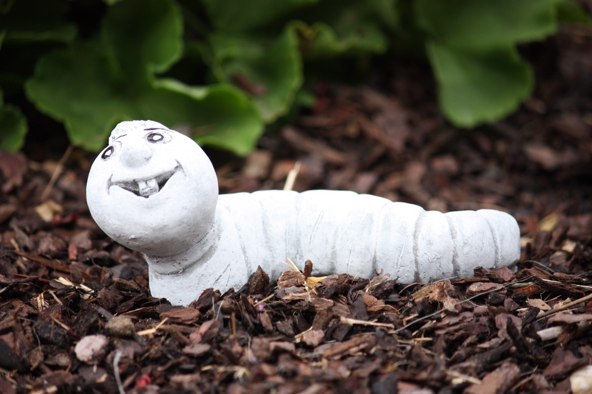 Steinfigur Wurm Regenwurm Walter frostfest wetterfest Gartenfigur Steinguss