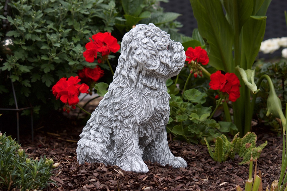 Steinfigur Hund Shih Tzu frostfest wetterfest Steinguss Gartenfigur