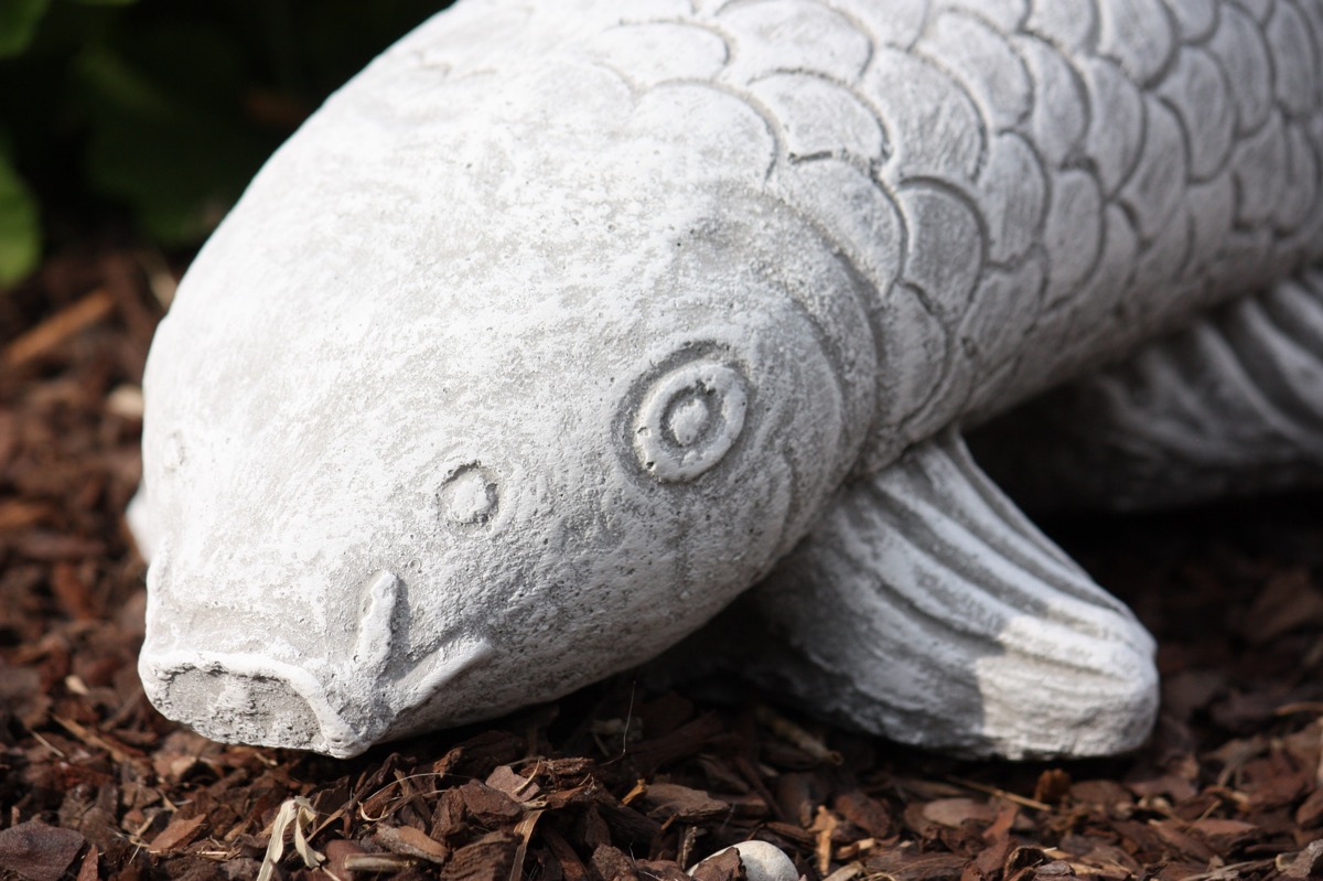Steinfigur großer Koi Frostfest Garten Deko Steinguss Fisch Gartenfigur