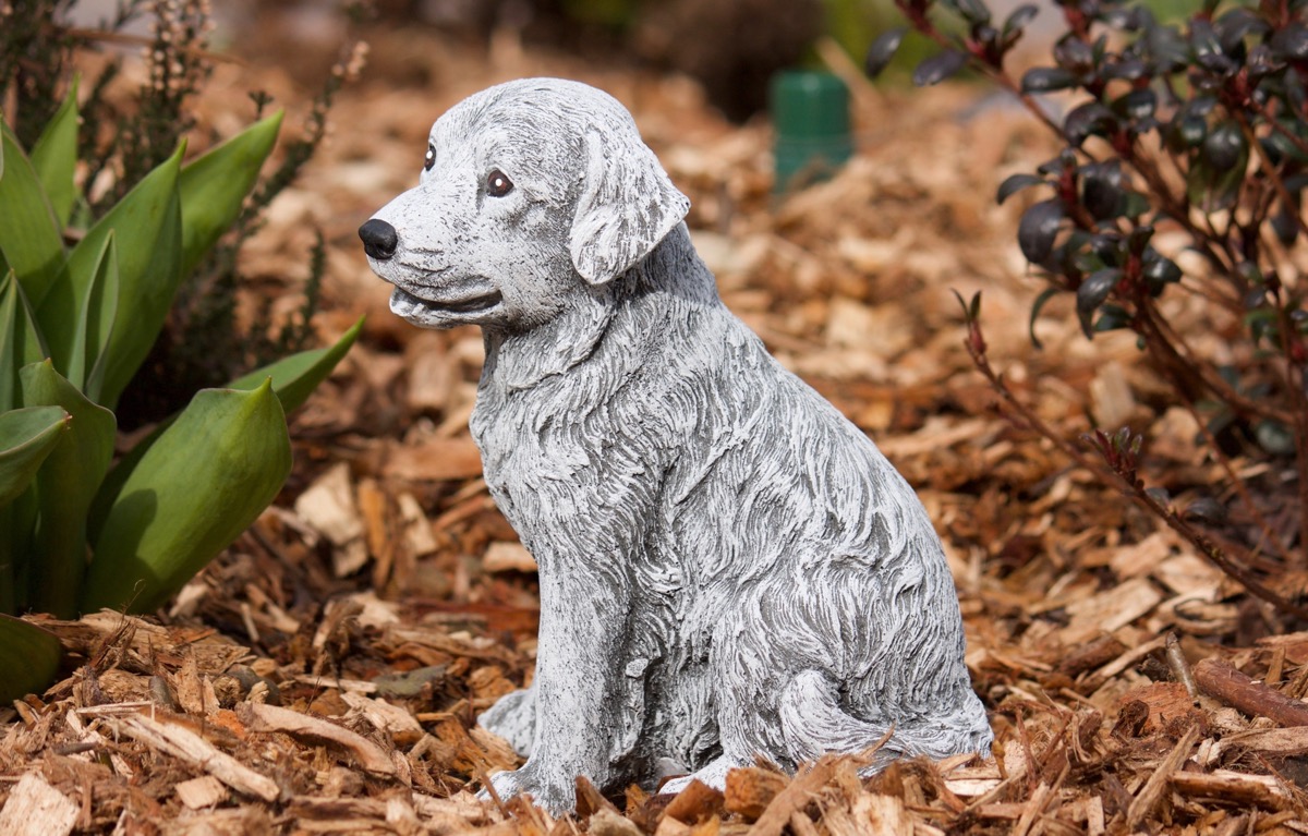 43+ Hunde Vorgarten, Wer einen bellenden vierbeiner als haustier hat,